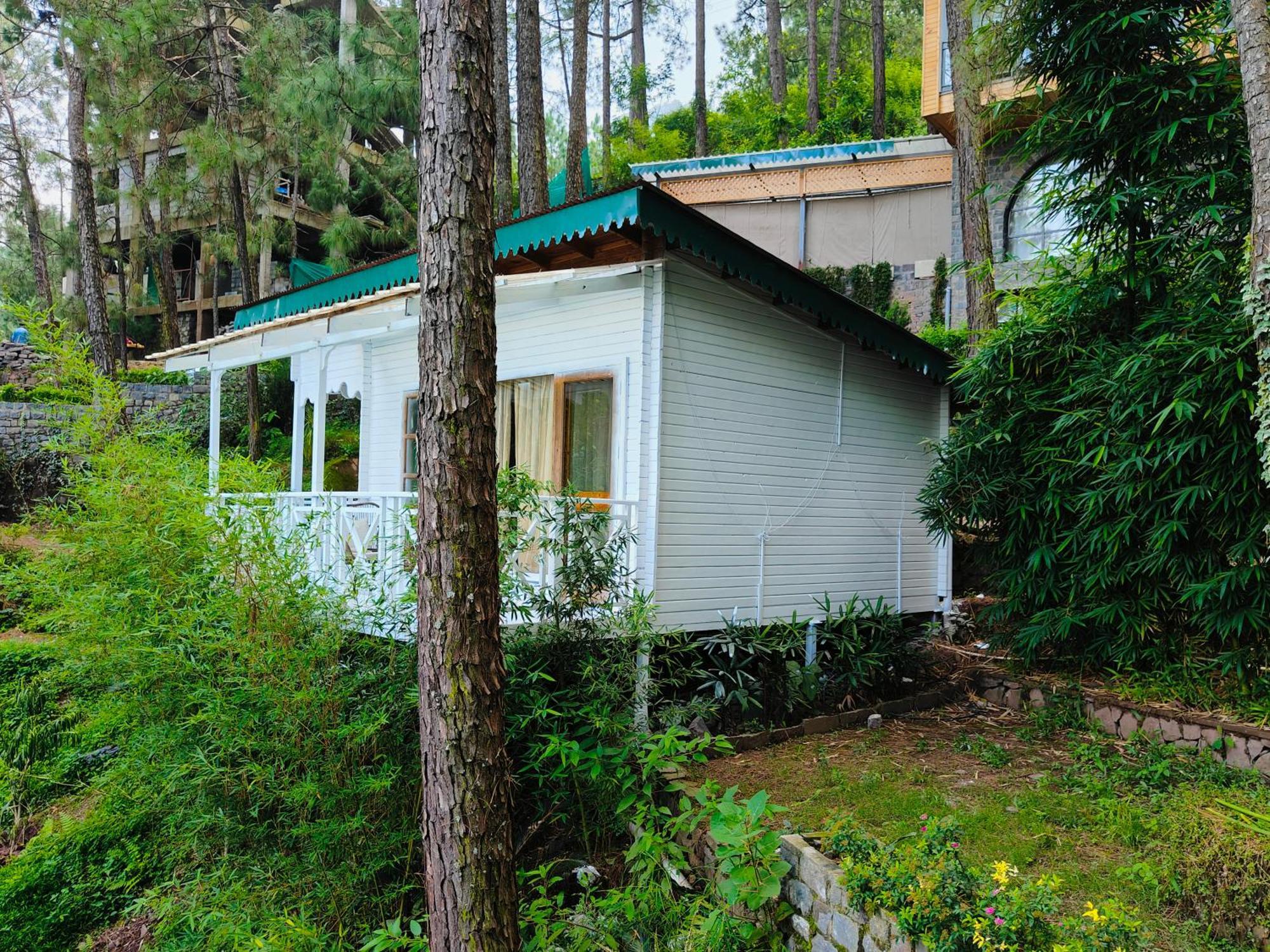 Kasauli Hills Resort Dış mekan fotoğraf